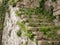 Ancient, worn stone steps in Porto, Portugal with plants growing in cracks