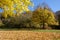 Anciently considered sacred and dedicated to Jupiter, the Bosco di Sant`Antonio is one of the most beautiful aborigines in Abruzzo