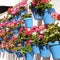 Andalucia Marbella Spain whitewashed village flower pot wall display