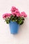 Andalucia Spain traditional whitewashed village geranium pelargonium flower pot wall display