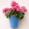 Andalucia Spain traditional whitewashed village geranium pelargonium flower pot wall display