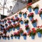 Andalucia Spain whitewashed village flower pot display white wall