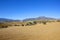 Andalucian agricultural landscape with mountains