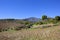 Andalucian landscape with cultivated fields and mountains