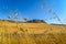 Andalucian Landscape - Ronda - Spain