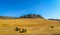 Andalucian Landscape - Ronda - Spain