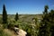 Andalusia, Spain: Fields of Olive Groves