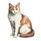 Andalusian Calico Cat Illustration And Vector Design