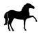 Andalusian horse silhouette ~