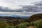 Andalusian landscape with yellow hills and green olive trees plantations