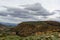 Andalusian landscape with yellow hills and green olive trees plantations