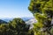 Andalusian mountain scenery with rolling hills olive groves and farms under a blue sky in southern spain