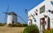 Andalusian Windmill nexto to a wall full of flowerpots