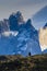 Andean Condor ,Torres del Paine National Park,