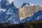 Andean Condor ,Torres del Paine National Park,