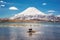 Andean coots on Chungara lake, Parinacota volcano Chile