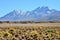 Andean Desert Bolivia