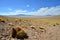 Andean Desert Bolivia