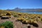 Andean Desert Bolivia - Lagunas Altiplanicas