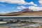 Andean Eduardo Avaroa National Wildlife Reserve, Bolivia, South America