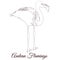 Andean flamingo outline bird coloring