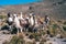 Andean Herder with Llama Herd as Pack Animals