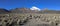 The Andean landscape with herd of llamas