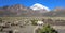 The Andean landscape with herd of llamas