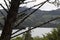 Andean mountains guavio reservoir and colombian gachala town viewed through an old tree branches