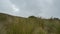 Andean paramo landscape on the slopes of the Pichincha volcano without people on a very cloudy day