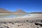 Andean Salt Lagoon Bolivia