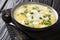 Andean Soup pisca Andina it consists of potatoes, milk, egg, Fresh cheese and is flavored with cilantro close-up in a bowl.