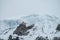 Andes Cordillera Blanca high altitude snow mountain in Peru