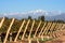 Andes mountain range, in the Argentine province of Mendoza