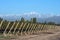 Andes mountain range, in the Argentine province of Mendoza