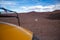 Andes mountains animals in the desert