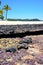 Andilana beach seaweed in indian ocean madagasca isle sky and