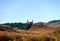 Andlau castle panoramic view through the vineyard