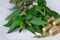 Andrographis paniculata, commonly known as creat or green chireta, has many properties. Has the effect of suppressing infection or