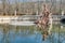 Andromeda fountain at La Granja Palace, Spain