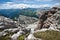 Andscape forest in trentino with dolomiti