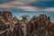 Andscape forest in trentino with dolomiti