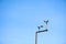 Anemometer in Meteorological weather station with blue sky background