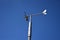 Anemometer wind speed indicator measuring device under blue sky and clouds