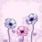 Anemone floral background illustration
