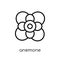 Anemone icon. Trendy modern flat linear vector Anemone icon on w