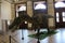 Angaturama limai display dinosaur model