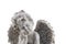 Angel antique statue isolated