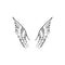 Angel, bird or pegasus wings. Vintage element. Fantasy illustration. Temporary tattoo or sticker