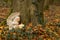 Angel with candle, nature cemetery